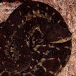 Bothrops lanceolatus